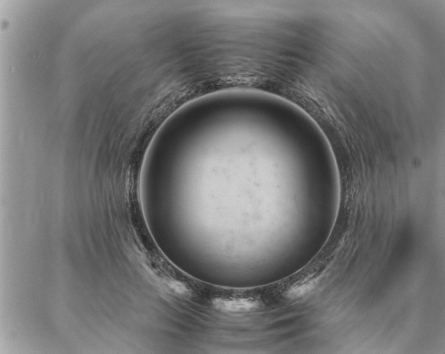 X0000087390647200704201243