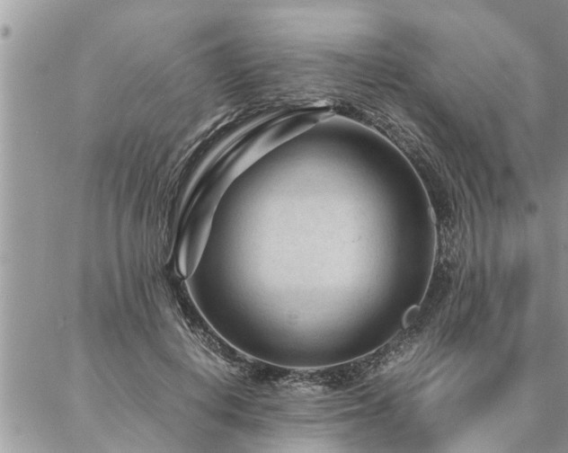 X0000087390648200704201243