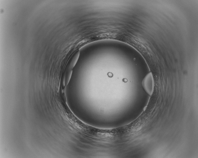 X0000087390649200704201243