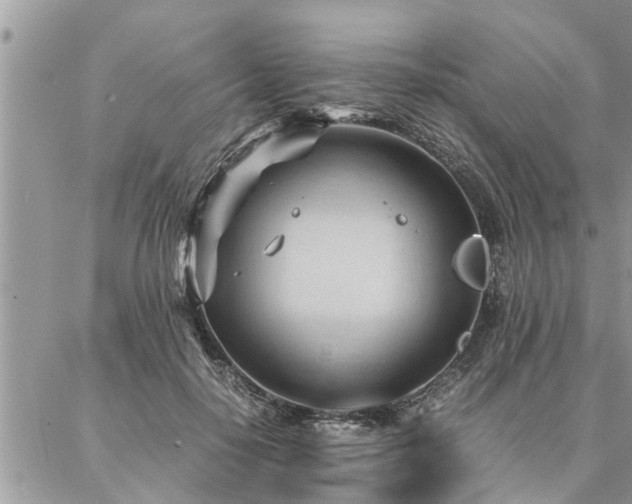 X0000087390650200704201243