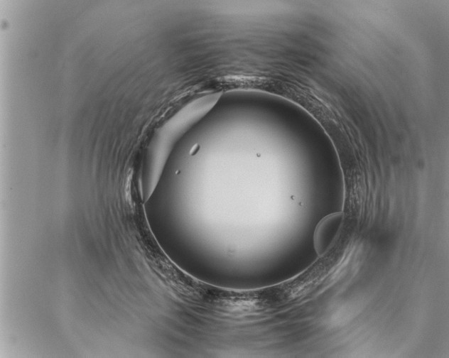 X0000087390651200704201243