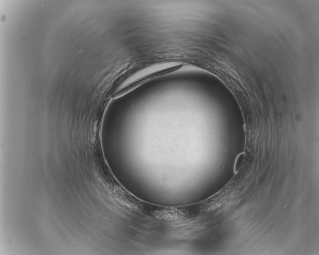 X0000087390652200704201243