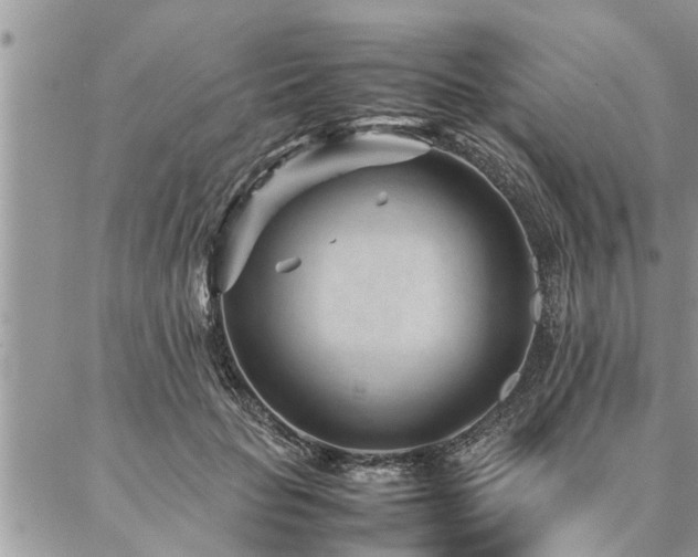 X0000087390653200704201243