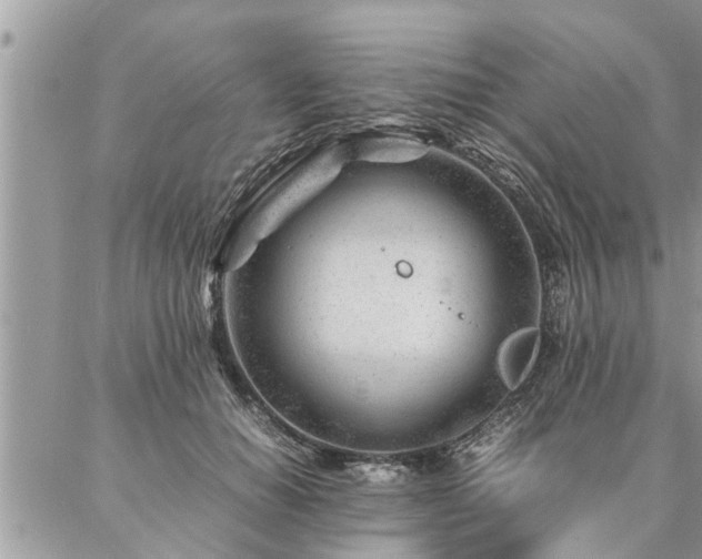 X0000087390654200704201243