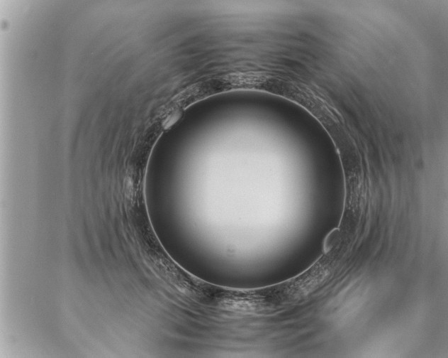 X0000087390655200704201243