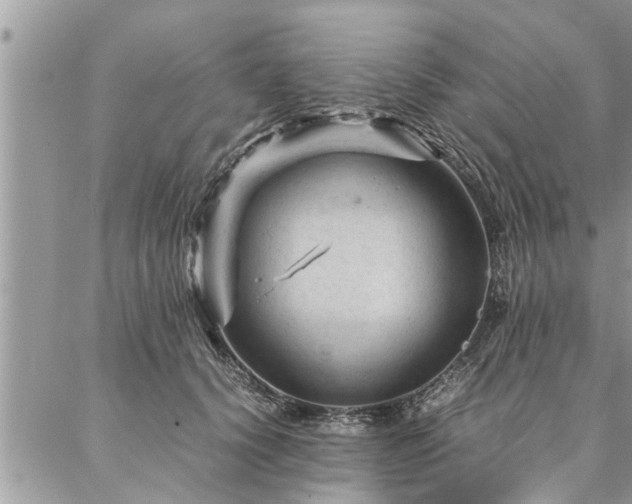 X0000087390656200704201243