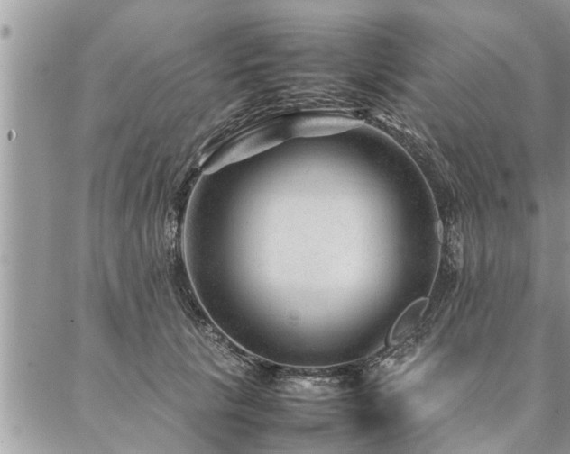 X0000087390657200704201243