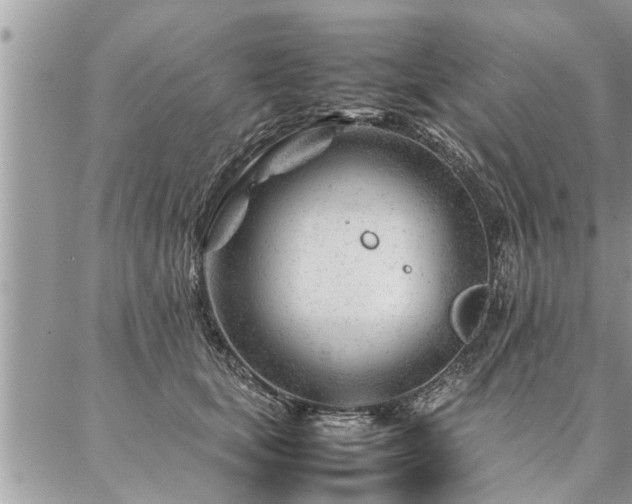 X0000087390659200704201243