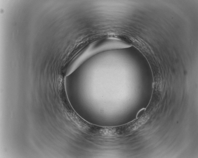 X0000087390660200704201243