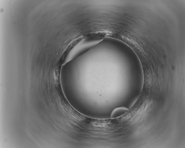 X0000087390661200704201243