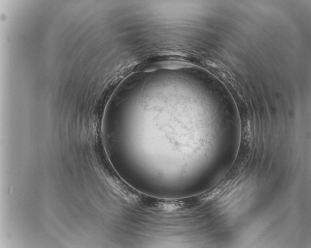 X0000087390662200704201243