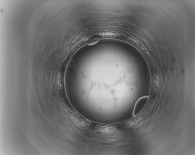 X0000087390663200704201243