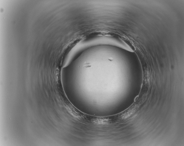 X0000087390664200704201244