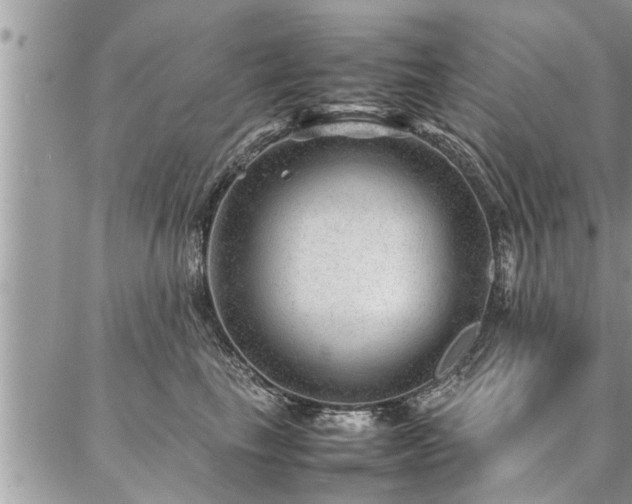 X0000087390665200704201244