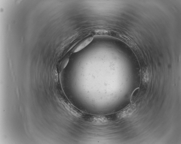 X0000087390666200704201244