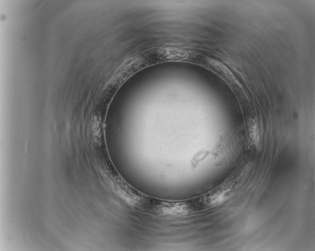 X0000087390667200704201244