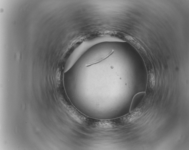 X0000087390668200704201244