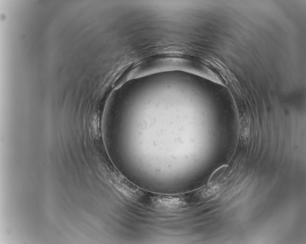 X0000087390669200704201244