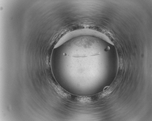 X0000087390670200704201244