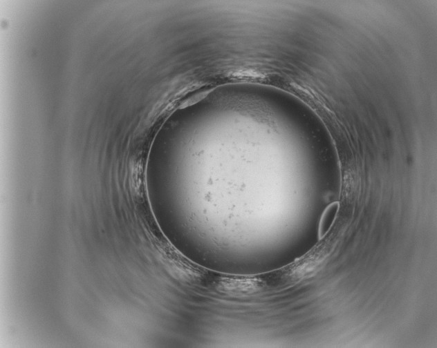 X0000087390671200704201244