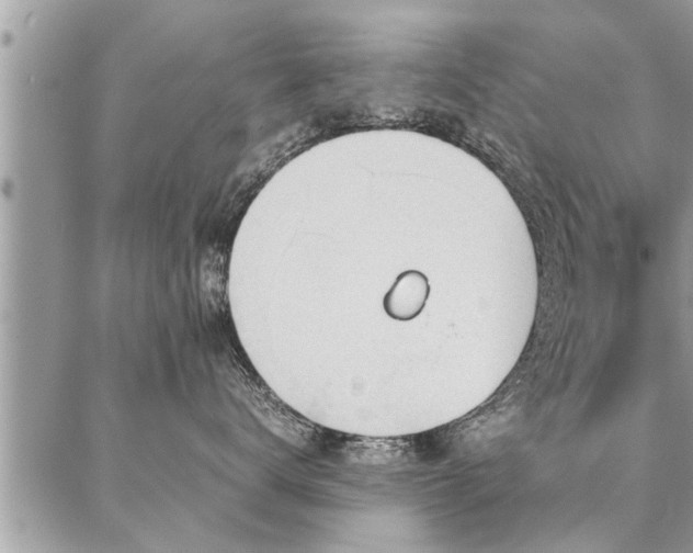 X0000087390672200704201244