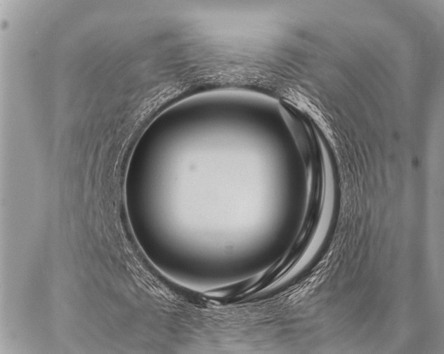 X0000087390673200704201243