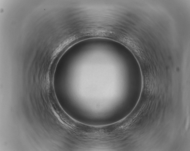 X0000087390674200704201243