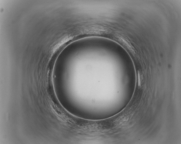 X0000087390675200704201243