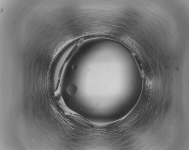 X0000087390676200704201243