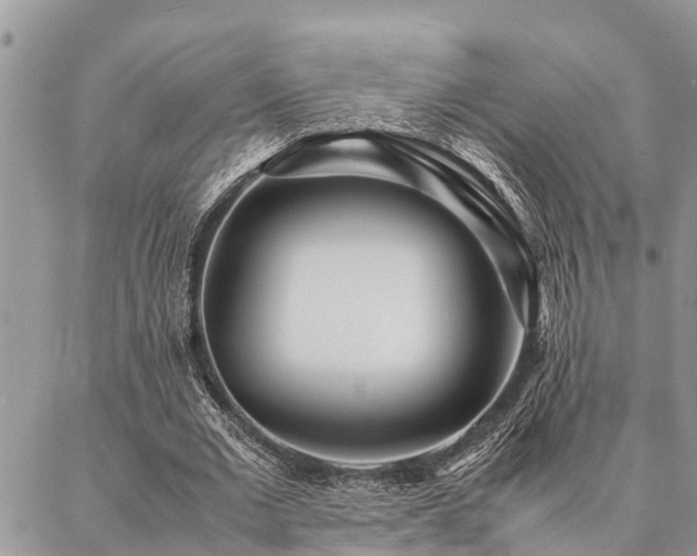 X0000087390677200704201243