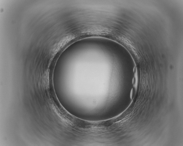 X0000087390678200704201243