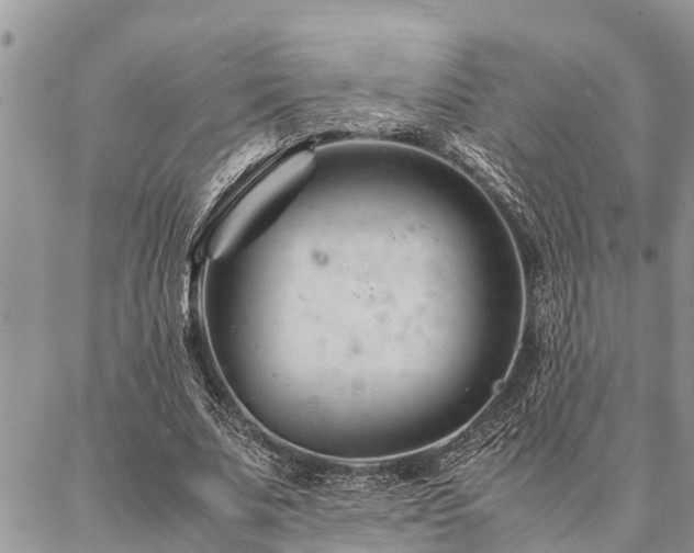 X0000087390679200704201243