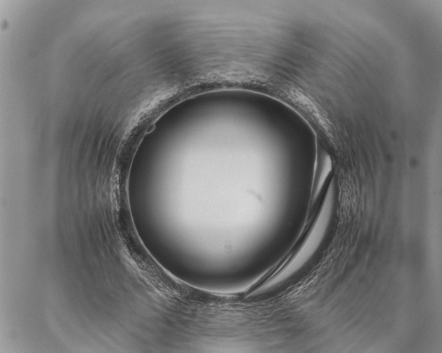 X0000087390680200704201243