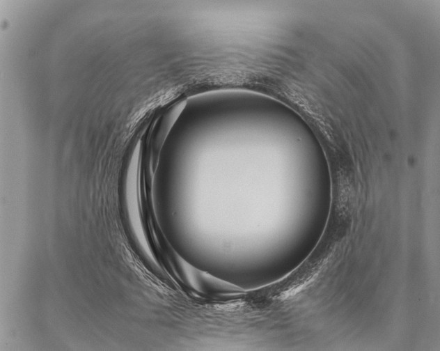 X0000087390681200704201243