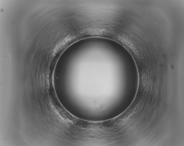 X0000087390682200704201243