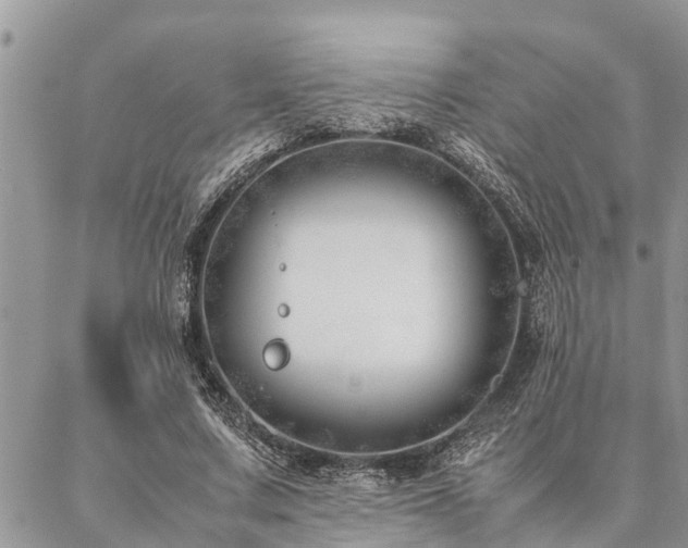 X0000087390683200704201243