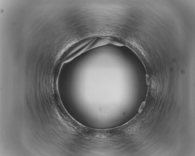 X0000087390684200704201243