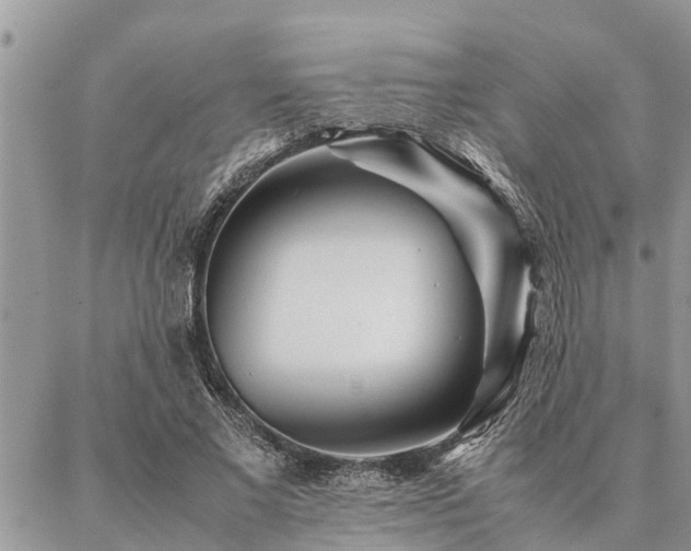 X0000087390685200704201243