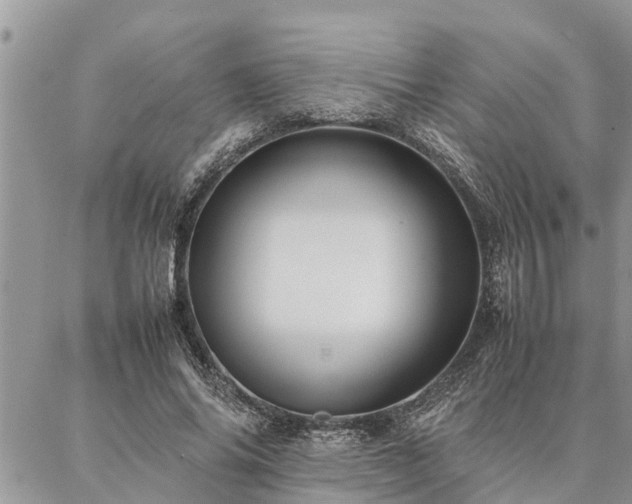 X0000087390686200704201243