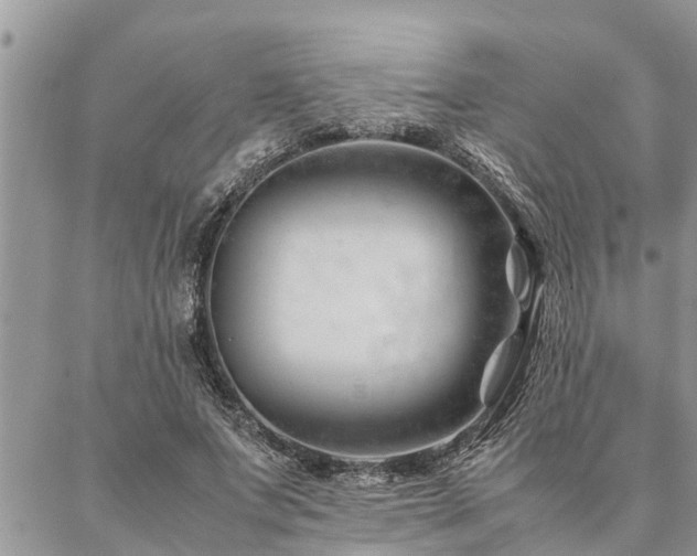 X0000087390687200704201243