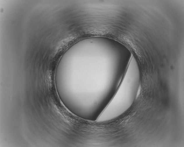 X0000087390688200704201243