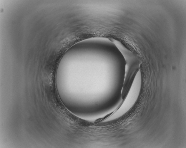 X0000087390689200704201243