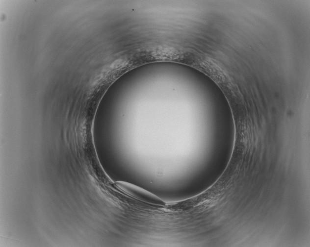 X0000087390690200704201243