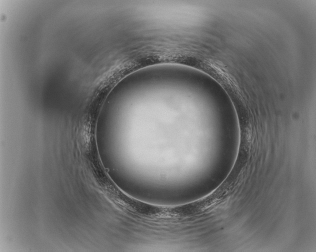 X0000087390691200704201243