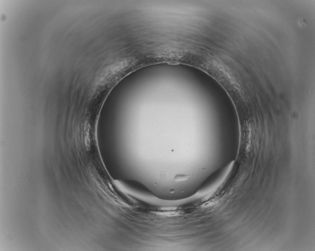 X0000087390692200704201243