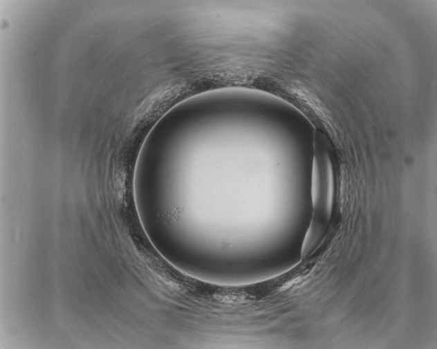 X0000087390693200704201243