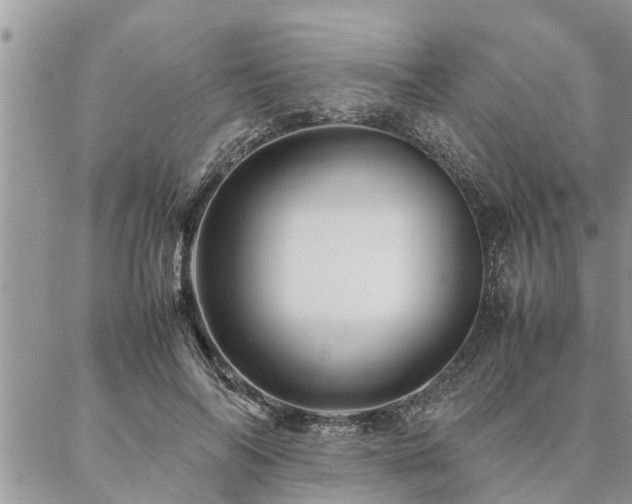 X0000087390694200704201243