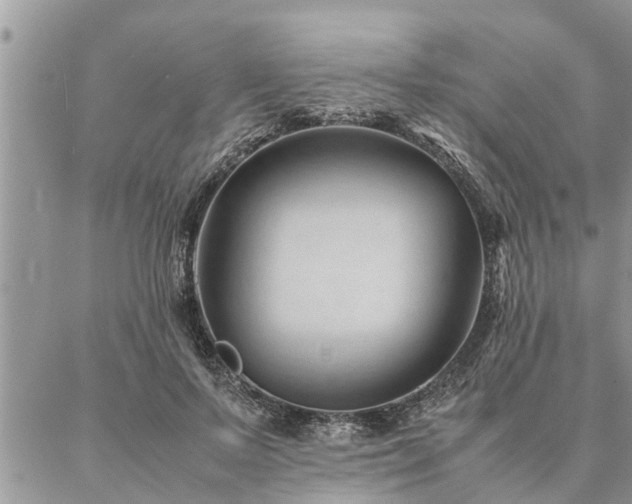 X0000087390695200704201243