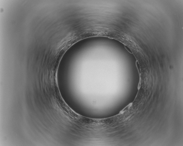 X0000087390696200704201242