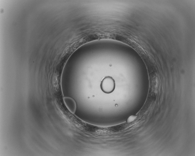 X0000087390699200704201242